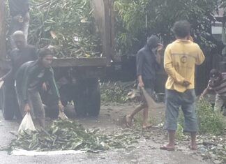 Pemerintah Kota Parepare