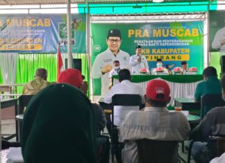 Partai kebangkitan bangsa