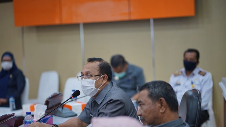 Plt Kadis
