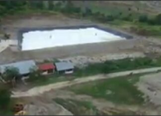 Dinas Lingkungan Hidup