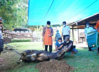 Pemkot Parepare