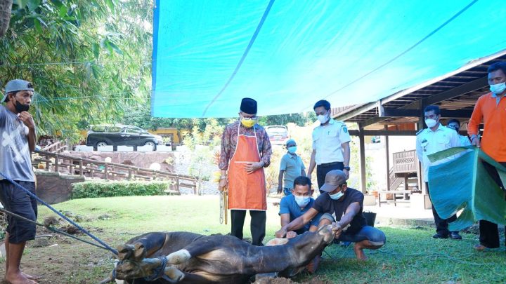 Pemkot Parepare