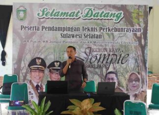 Pemkot Parepare