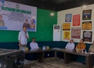 pj wali kota parepare