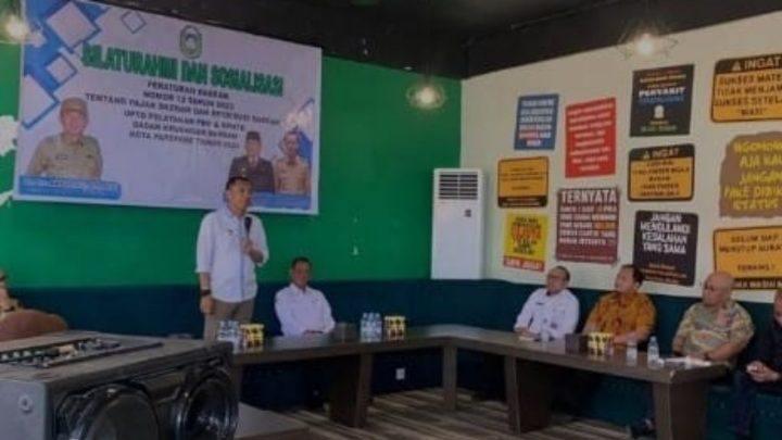 pj wali kota parepare