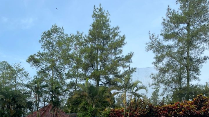 Kota Parepare