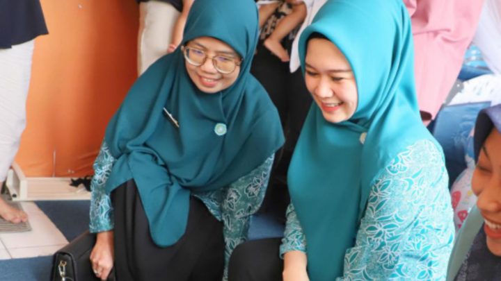 Tim Penggerak PKK