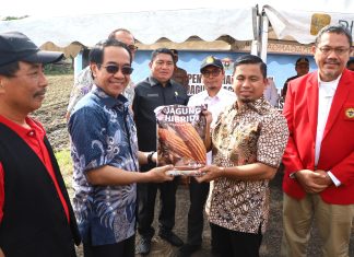 Pemkot Parepare