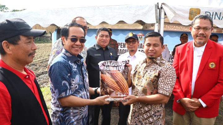 Pemkot Parepare