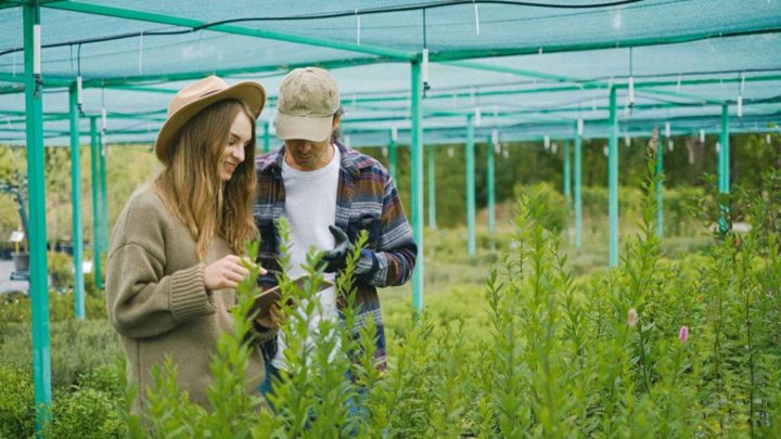 Mewujudkan Elektrifikasi Pertanian Berkelanjutan melalui Agricultural Energy Internet (AEI) untuk Kesejahteraan Petani