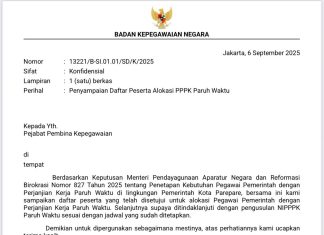 1020 Honorer Parepare Akan Isi Kouta PPPK Paruh Waktu Tahun 2025 Pemkot Parepare