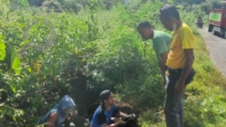Respon Cepat