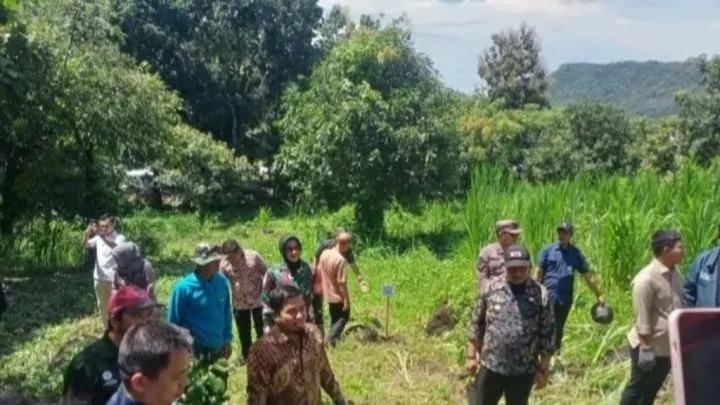 Lestarikan Lingkungan, Tasming Hamid Bersama BPC HIPMI Tanam 10.000 Bibit Kopi Pemkot Parepare